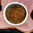 Alien Egg Ceramic Cookie Jar 1