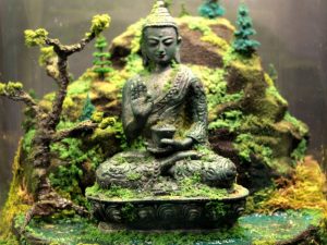 Ancient Buddha Zen Garden Terrarium | Million Dollar Gift Ideas