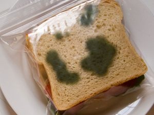 Anti-Theft Lunch Bag | Million Dollar Gift Ideas