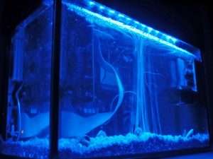 Aquarium Computer Case | Million Dollar Gift Ideas