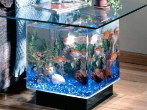 Aquarium Night Stand Table | Million Dollar Gift Ideas