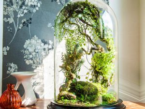 Artificial Plants Forest Terrarium | Million Dollar Gift Ideas