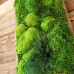 Artisan Moss Plant Art 1