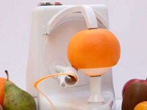 Automatic Fruit Peeling Machine 1