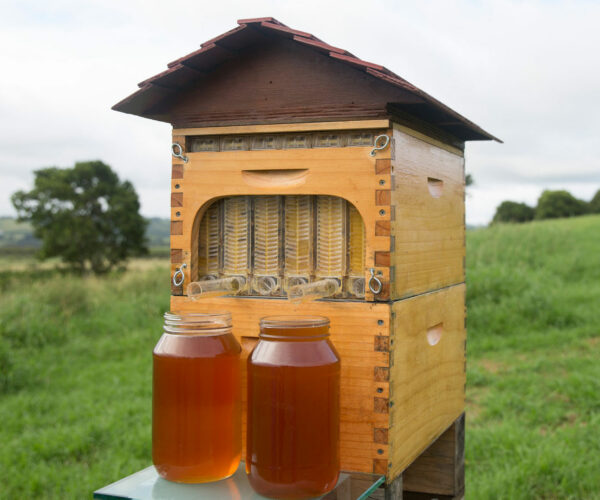Automatic Honey Collecting Beehive 1