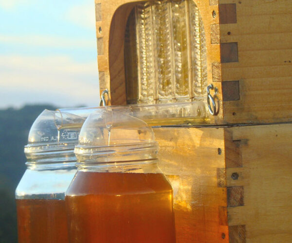 Automatic Honey Collecting Beehive