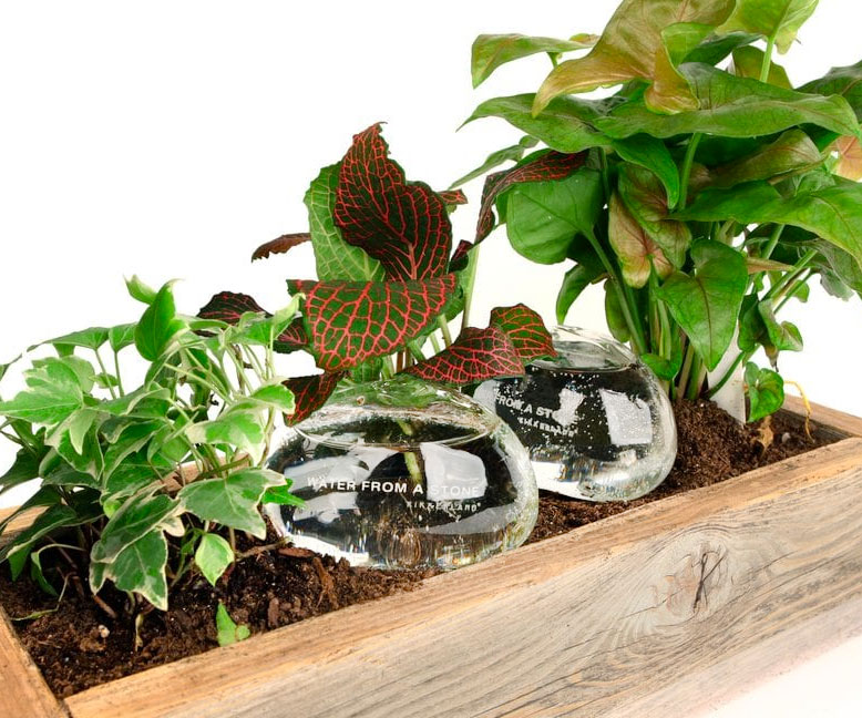 Automatic Self Watering Plant Globes 1