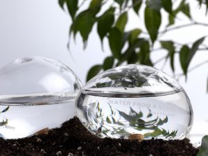 Automatic Self-Watering Plant Globes | Million Dollar Gift Ideas