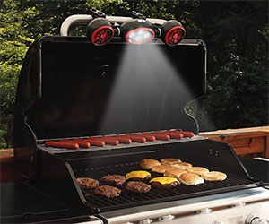 Barbeque Grill Light & Fan