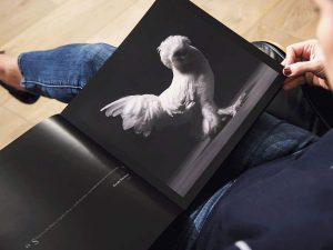 Beautiful Chickens Coffee Table Book 1