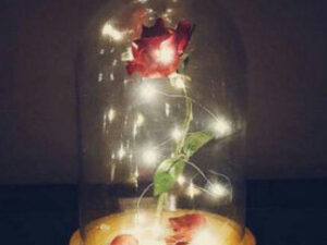 Beauty And The Beast Enchanted Rose 1