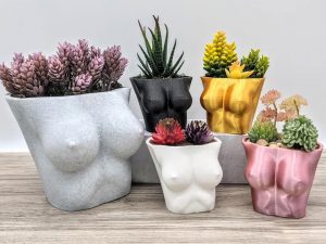 Boob Planters | Million Dollar Gift Ideas