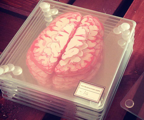 Brain Specimen Coasters 2