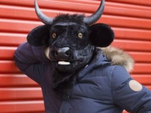Bull Mask 1