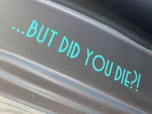 But Did You Die Car Decal 1