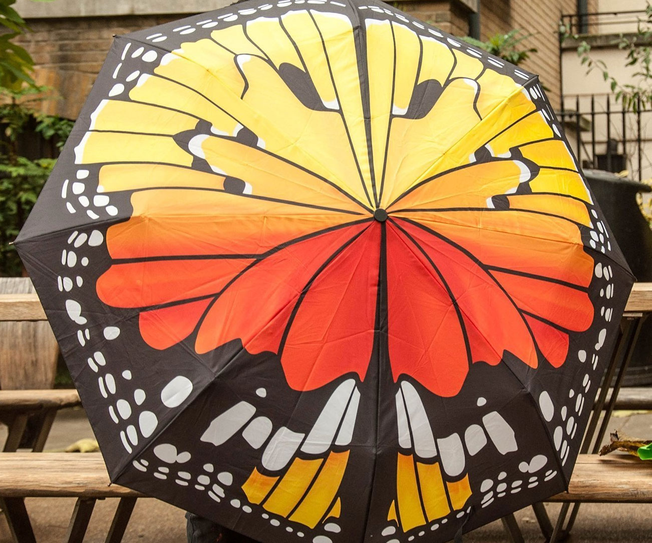 Butterfly Umbrella 1