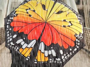 Butterfly Umbrella | Million Dollar Gift Ideas