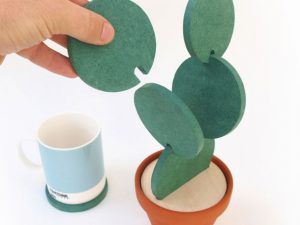 Cactus Plant Shaped Coaster Set | Million Dollar Gift Ideas