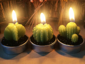 Cactus Tea Light Candles | Million Dollar Gift Ideas