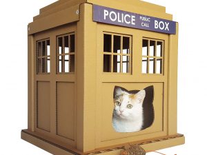 Cardboard Tardis Cat House 1