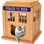 Cardboard TARDIS Cat House