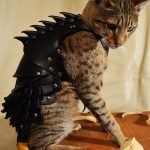 Cat Battle Armor 1