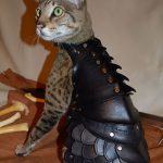 Cat Battle Armor