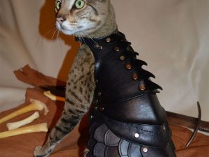 Cat Battle Armor | Million Dollar Gift Ideas