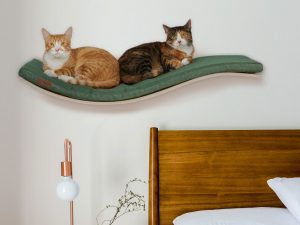 Cat Bed Shelf | Million Dollar Gift Ideas