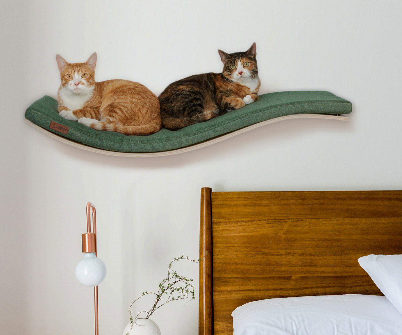 Cat Bed Shelf