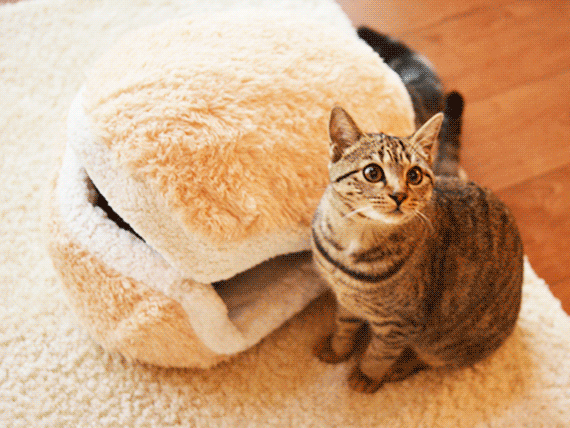 Cat Burger Pillow 1