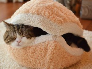 Cat Burger Pillow | Million Dollar Gift Ideas