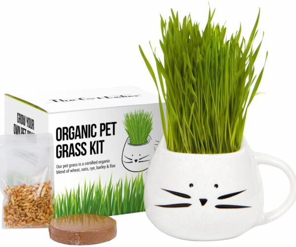 Cat Grass Growing Kit