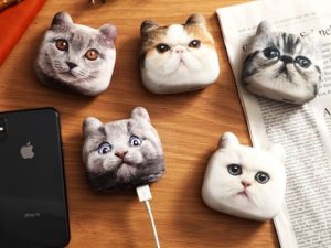 Cat Head Phone Charger | Million Dollar Gift Ideas
