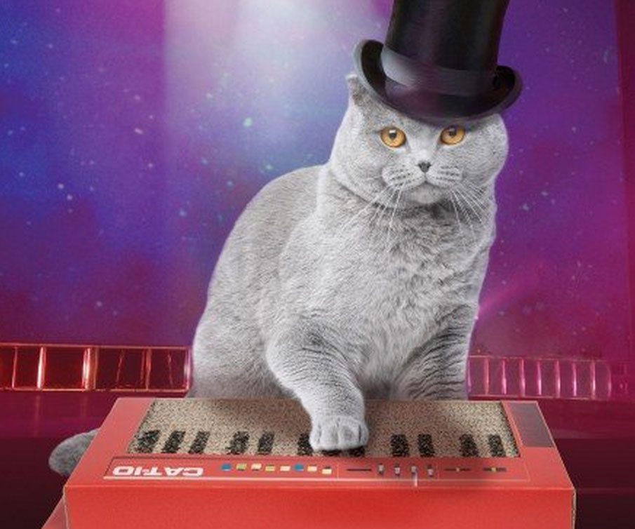 Cat Keyboard Scratcher 1