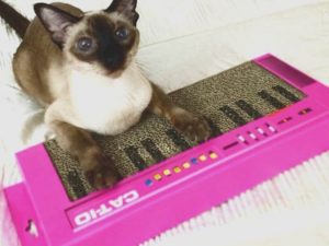 Cat Keyboard Scratcher | Million Dollar Gift Ideas