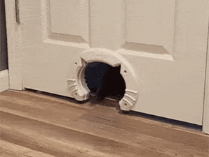 Cat Shaped Kitty Door | Million Dollar Gift Ideas