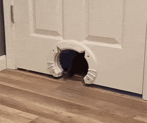 Cat Shaped Kitty Door