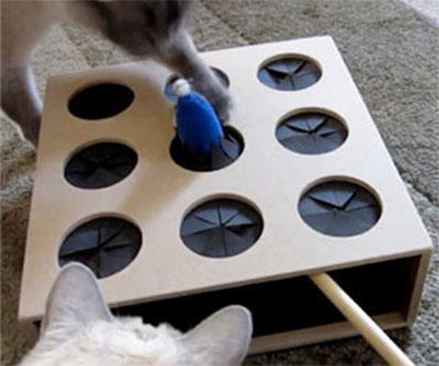 Cat Whac-A-Mole Toy