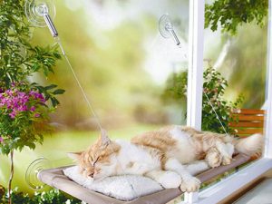 Cat Window Perch | Million Dollar Gift Ideas