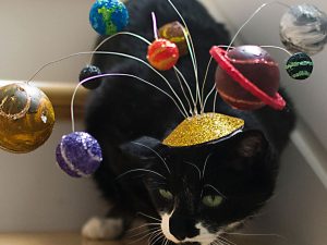 Center Of The Universe Cat Hat | Million Dollar Gift Ideas