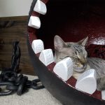 Chain Chomp Cat Bed 2