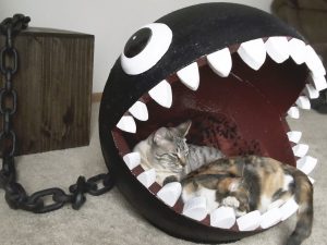 Chain Chomp Cat Bed | Million Dollar Gift Ideas