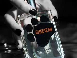 Cheetos Perfume | Million Dollar Gift Ideas