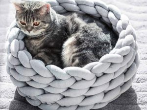 Chunky Knitted Pet Bed | Million Dollar Gift Ideas
