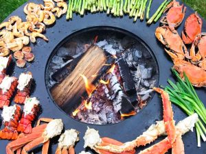 Circular Grill And Fire Pit | Million Dollar Gift Ideas