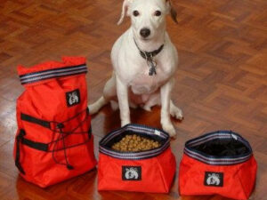Collapsible Travel Dog Bowls.jpg