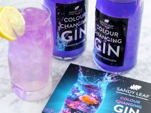 Color Changing Gin Infusing Kit | Million Dollar Gift Ideas