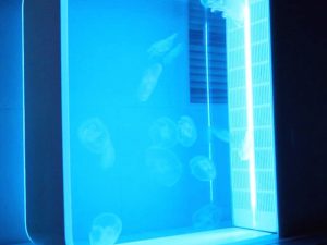Color Changing Jellyfish Aquarium | Million Dollar Gift Ideas