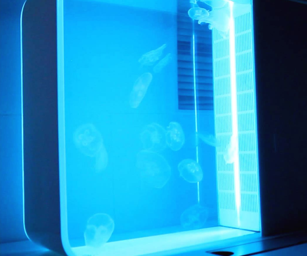 Color Changing Jellyfish Aquarium